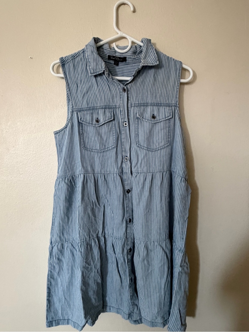 Sleeveless Blue Striped Button-Front Dress